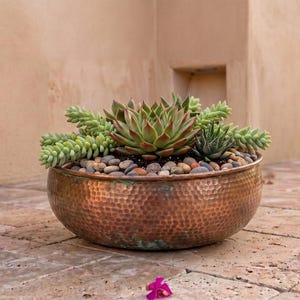 May include: A round, hammered copper bowl filled with a variety of green succulents and small, smooth, multi-coloured river stones. The bowl has a metallic, textured finish and sits low, containing several distinct plant species arranged together.