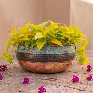 May include: A round, hammered metal planter featuring a tri-tone finish with a copper base, a dark brown middle band, and a teal-green patina top rim. The planter contains a vibrant neon yellow-green pothos plant with trailing leaves.