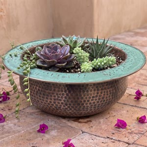 May include: A round, hammered copper bowl featuring a wide, textured teal rim. The bowl is filled with a variety of small succulents, including a purple echeveria, light green sedum, and a spiky haworthia, with trailing string of pearls vines.