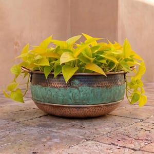 Puede incluir: Una maceta redonda de cobre martillado con una banda ancha de color verdín en el centro y dos pequeñas asas laterales. La maceta contiene una planta pothos de color amarillo verdoso neón vibrante con hojas en forma de corazón.