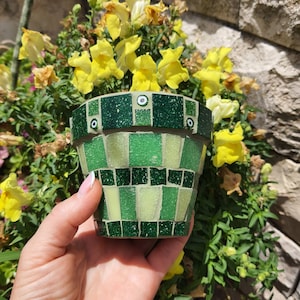 Peut inclure: Un pot en mosaïque vert avec des accents blancs et deux yeux bleus. Le pot est tenu dans une main.