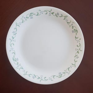 May include: White ceramic plate with a floral design around the rim. The design features green vines, small blue flowers, and tiny dots. The plate is round and sits on a dark brown surface.