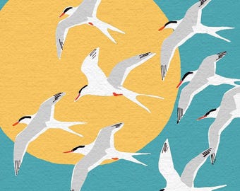 Arctic Terns Print/Cards