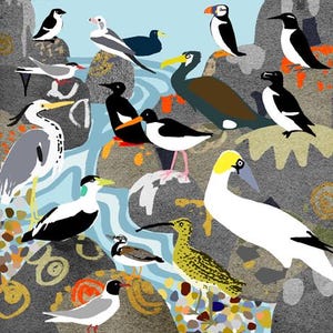 Impression/cartes oiseaux de mer