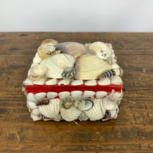 Sea Shell Trinket Box With Red Velvet Lining Souvenir Jewelry Stash Box