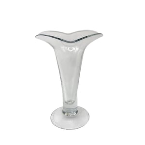 Può includere: Un vaso di vetro trasparente con un'ampia apertura a forma di cuore e un corpo alto e sottile. Il vaso ha una base rotonda.