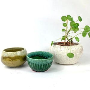 May include: Three ceramic planters, one green, one brown, and one white with a green plant inside. The white planter has a textured surface.