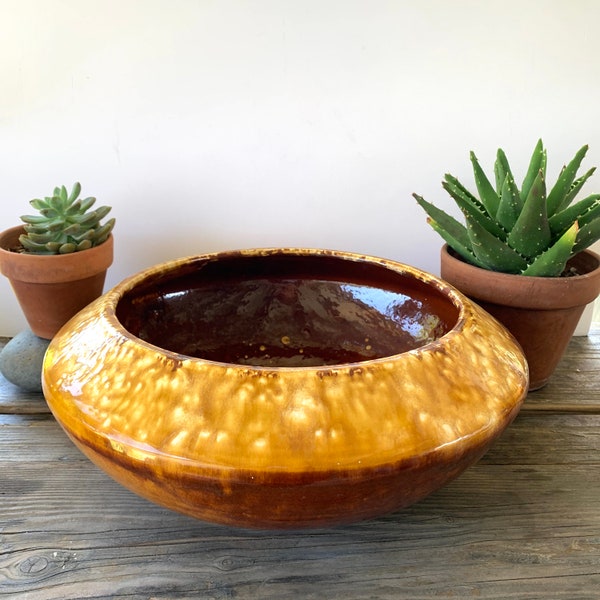 BIG California pottery shallow bonsai planter succulent plant bowl 16 inches wide