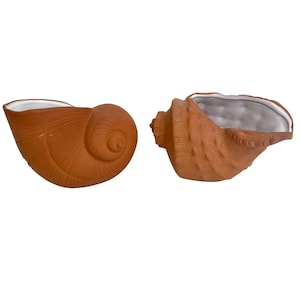 Könnte beinhalten: Zwei terrakottafarbene Muschelschalen-Pflanzgefäße. Die Pflanzgefäße haben eine strukturierte Oberfläche und einen weißen Innenraum. Eines ist spiralförmig, das andere konchförmig. Diese dekorativen Pflanzgefäße sind ideal für Sukkulenten oder kleine Pflanzen.