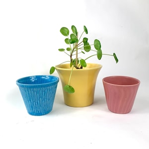 May include: Three ceramic planters, one blue, one yellow, and one pink. The yellow planter has a green plant growing in it.