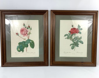 Redouté red and pink roses prints 24x19 framed matted vintage botanicals
