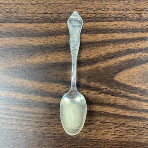 Niagara Falls ornate antique souvenir spoon US Silver Co