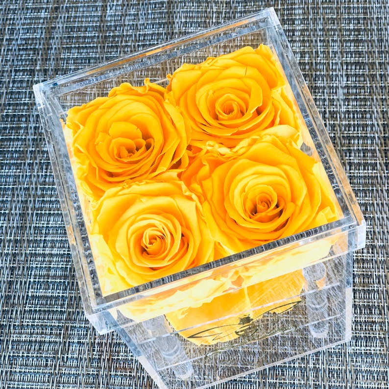 Preserved Roses in a Keepsake Jewelry Box With Real Roses That Etsy
