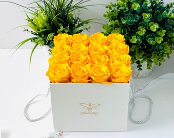 Roses Preserved in a Box - Long-lasting Roses for Home Décor, Anniversary Preserved Flowers, and Birthday Gift White Box