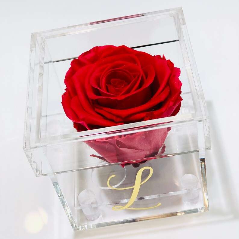 Single Rose in a Personalized Box Preserved Roses Forever Etsy