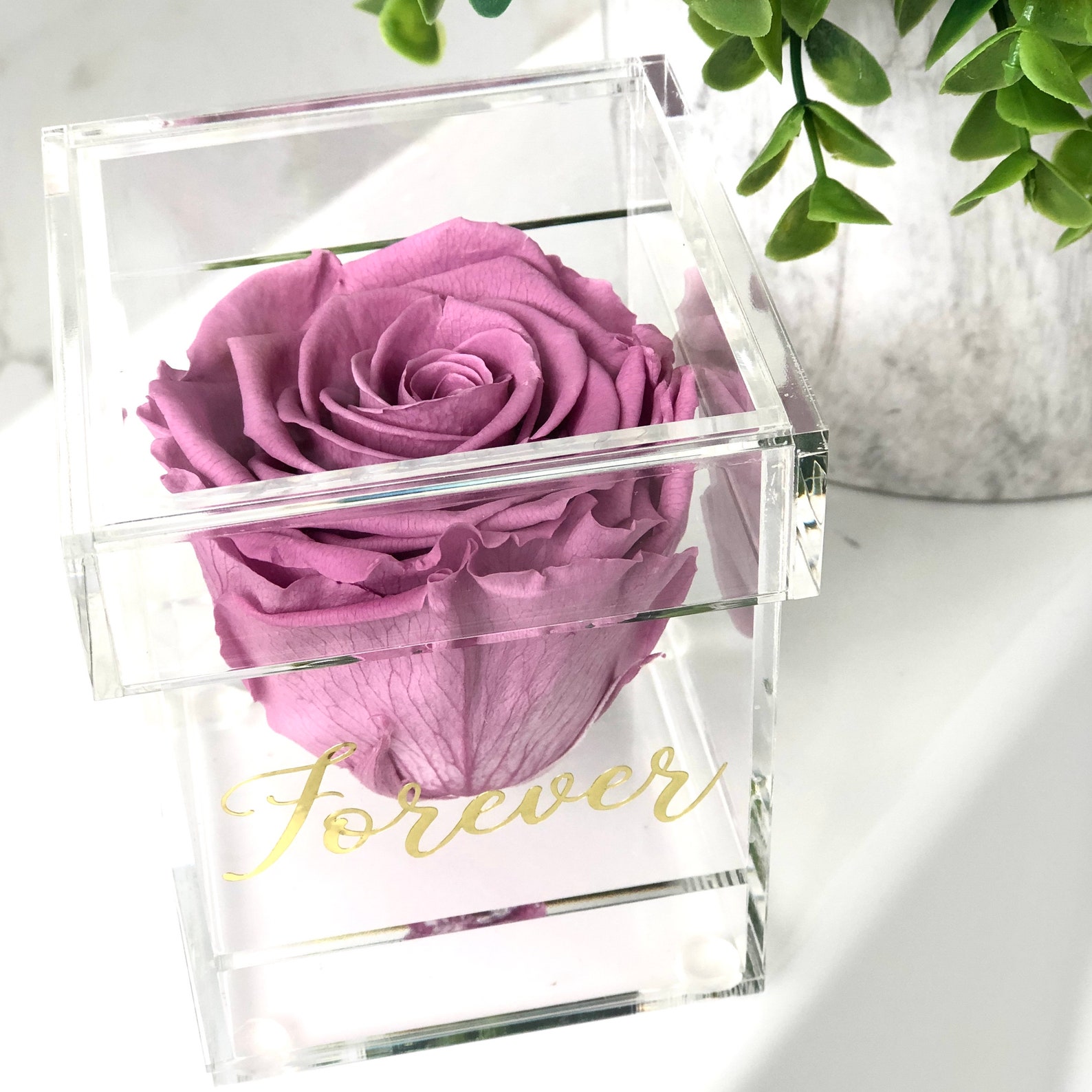 Single Rose in a Personalized Box Preserved Roses Forever Etsy