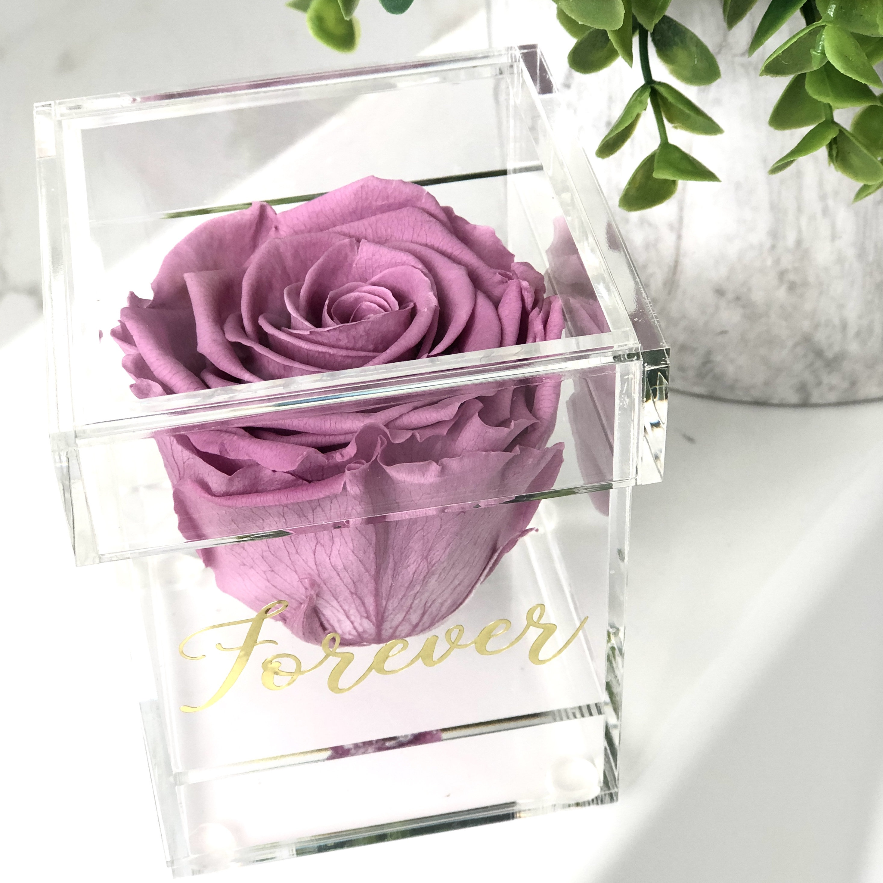 Single Rose in a Personalized Box Preserved Roses Forever Etsy