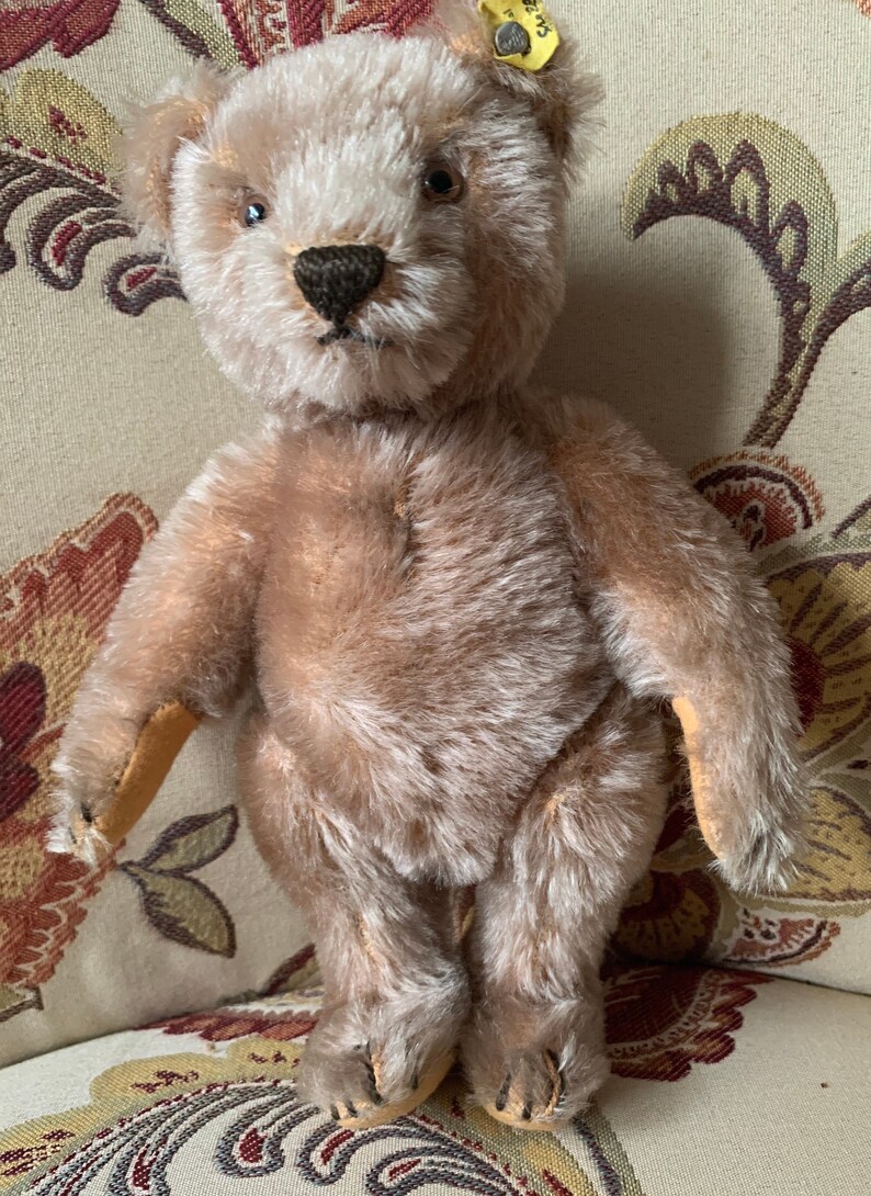 Original Steiff Teddy Bear Vintage 1960s - Etsy