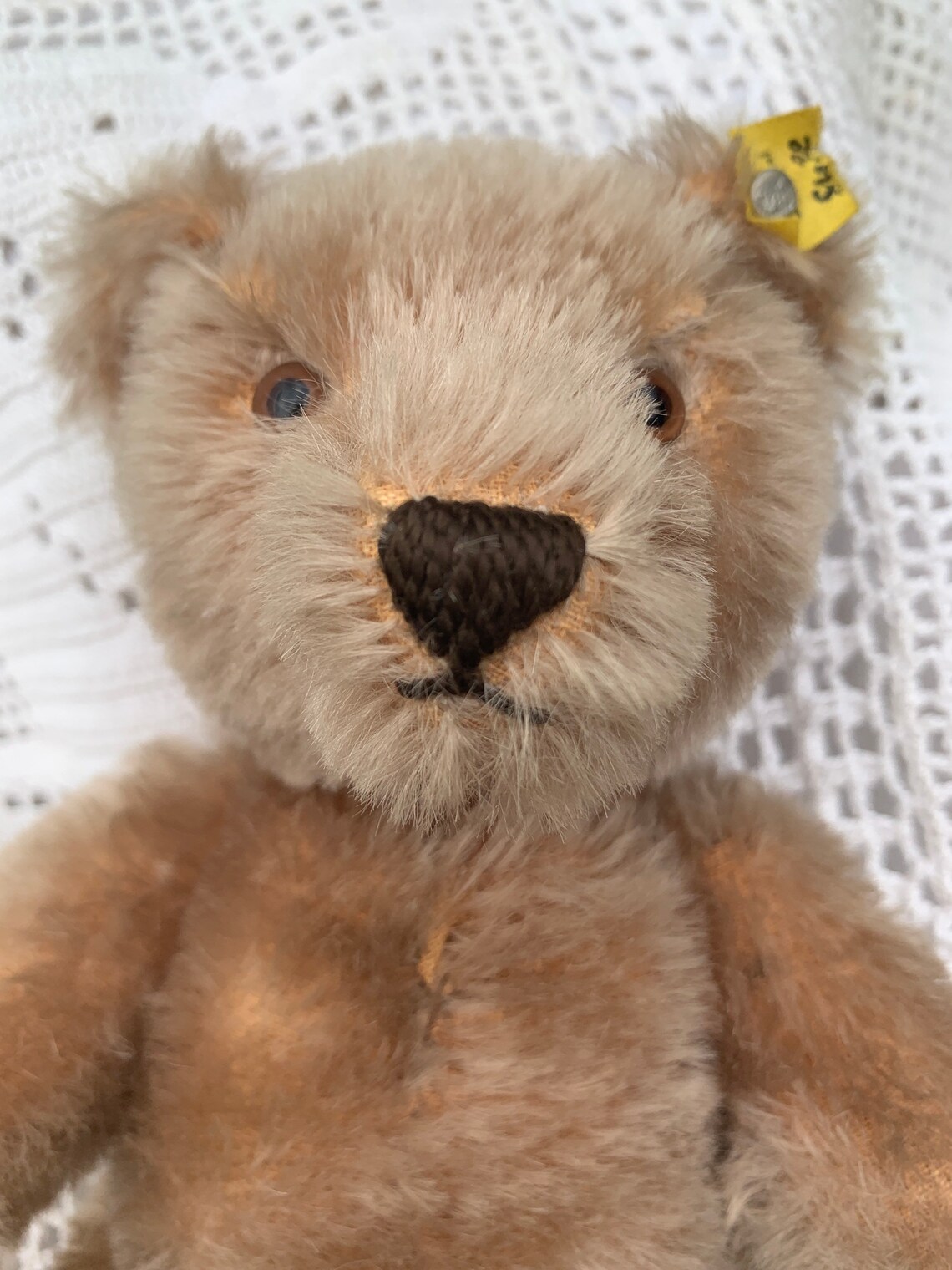 Original Steiff Teddy Bear Vintage 1960s - Etsy