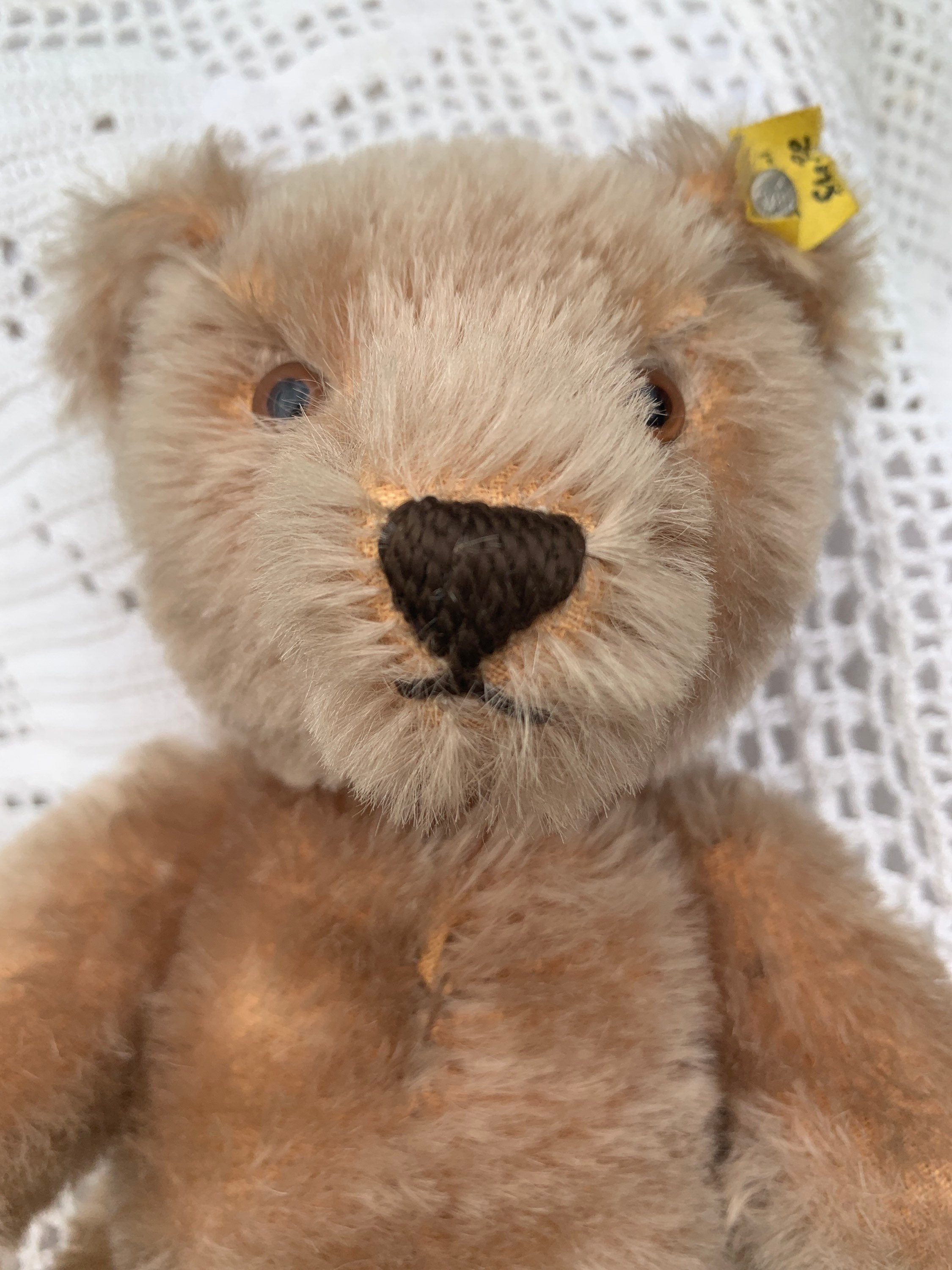 Original Steiff Teddy Bear Vintage 1960s - Etsy