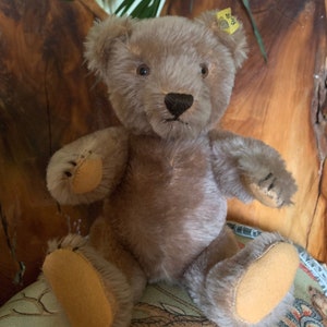 Original  Steiff Teddy Bear Vintage 1960s