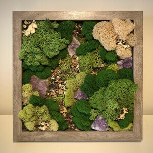 May include: A framed moss wall art piece with a variety of green moss and dried foliage, accented with purple amethyst crystals.