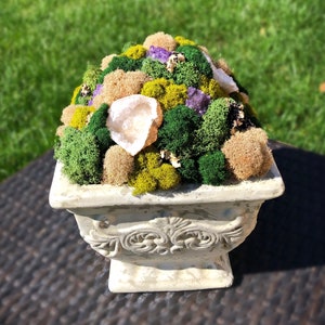 May include: A white ceramic planter with a decorative design, filled with a variety of green moss, beige moss, and purple crystals.