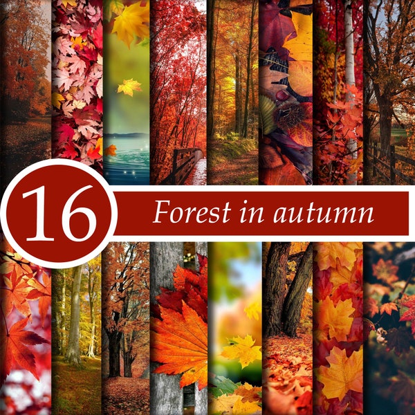 Wald im Herbst - Herbst Tapete-Boden Papier-Scrapbooking Handwerk liefert-Digital Papier-Wrapping Papier-GiaDigitalPaper