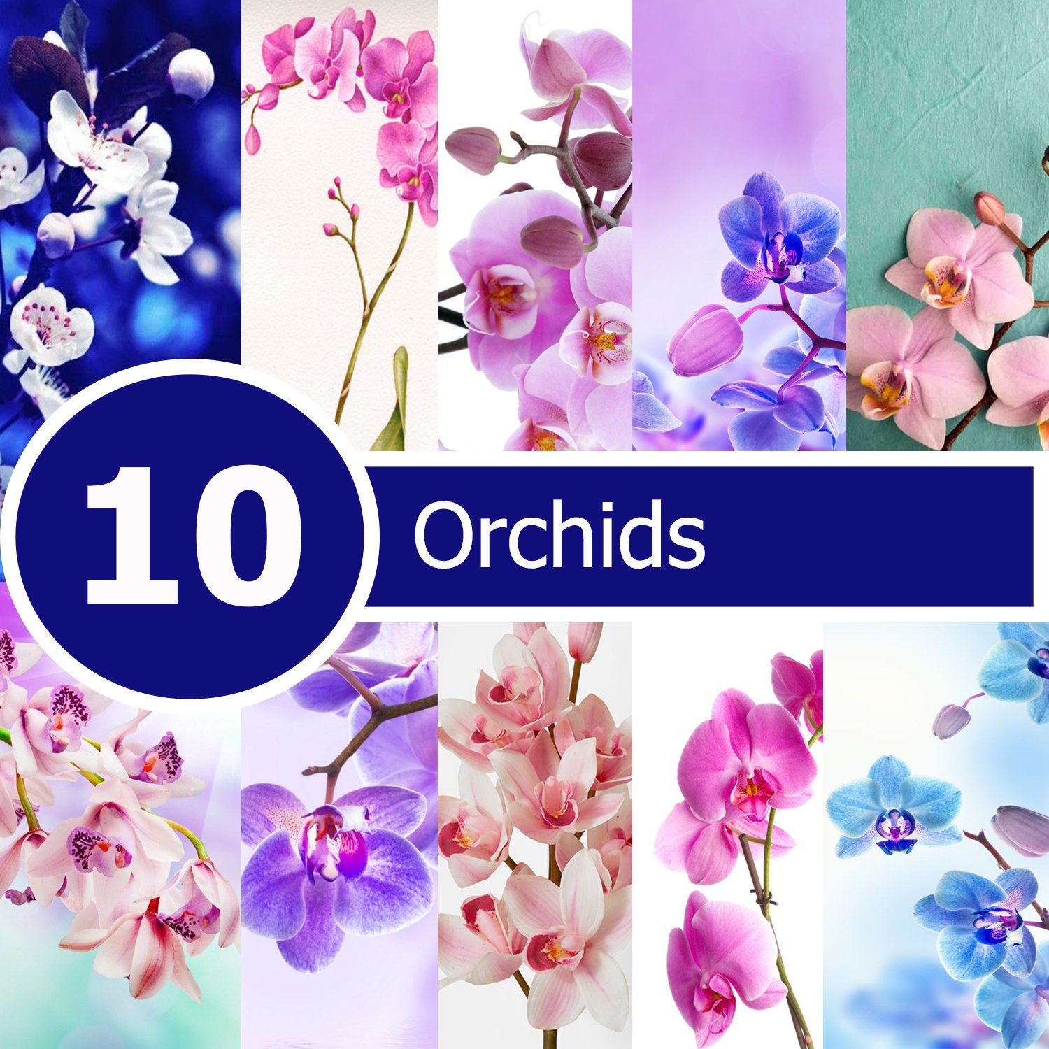 Orchid Light Purple Ribbon Double Sided Satin Ribbon 100 Yards 