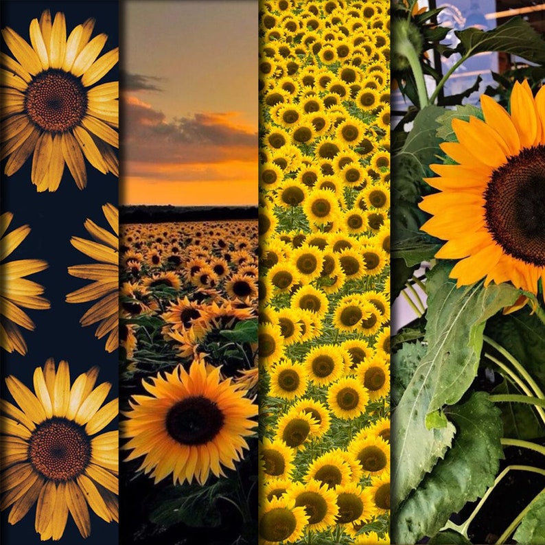 Sunflower paper-Flower Wallpaper-Floor Paper-Scrapbooking | Etsy
