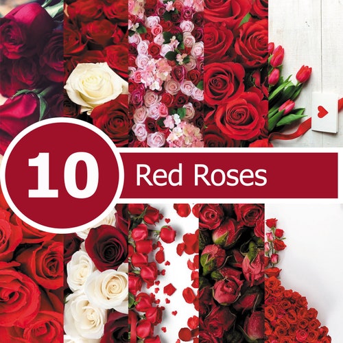 Red Roses Paperflower Digital Paperscrapbooking Craft Etsy