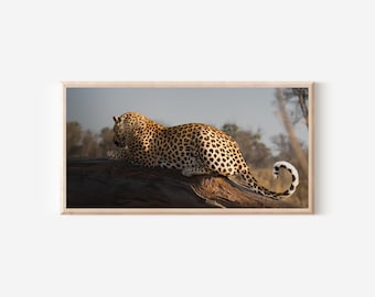 Leopard Photography Print: African Safari Nature Wall Art