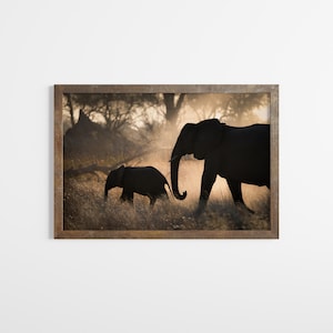 May include: Silhouette of two elephants walking through tall grass in a golden light. The larger elephant is in the foreground, with the smaller elephant following behind.