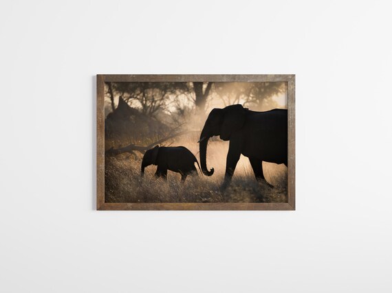 Elephant Family Photo Print: Wildlife Photography, Nature Art