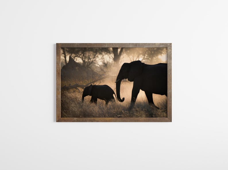 May include: Silhouette of two elephants walking through tall grass in a golden light. The larger elephant is in the foreground, with the smaller elephant following behind.