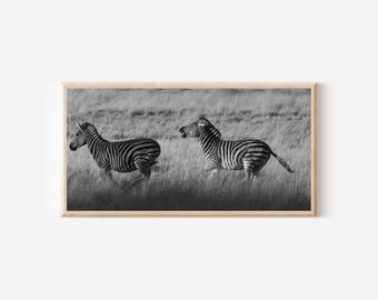 Zebra Chase Print: Black and White Wildlife Photography, Safari Decor