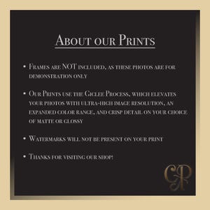 May include: Black and white text on a dark background with the heading "About Our Prints". The text explains that frames are not included, prints use the Giclee process, watermarks are not present, and thanks for visiting the shop. The text is followed by the initials "CR" in a gold color.