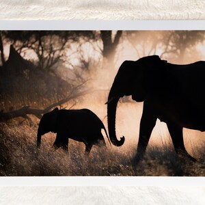 May include: Silhouette of two elephants walking through tall grass in a hazy, golden light. The larger elephant is in the foreground, while the smaller elephant is behind it.