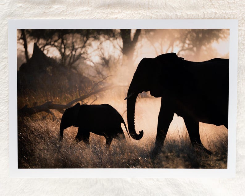 May include: Silhouette of two elephants walking through tall grass in a hazy, golden light. The larger elephant is in the foreground, while the smaller elephant is behind it.
