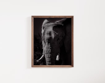 Black and White Elephant Print: Kalahari Desert Wildlife Photography
