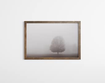 Foggy Forest Print: Minimalist Landscape Photography, Georgia Wall Art