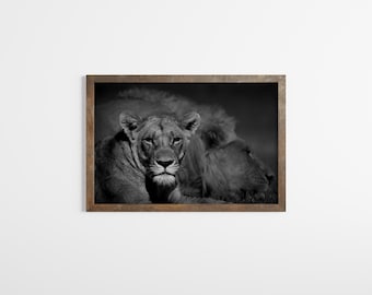 Lion and Lioness Wildlife Photography Print: Fine Art Nature Conservation