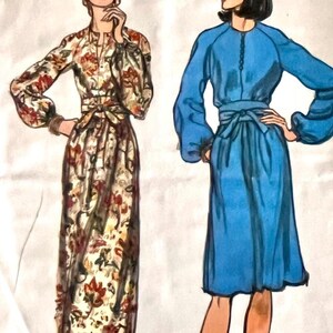 May include: Illustration of two dresses. One is a long-sleeved dress with a floral pattern in shades of red, brown, and cream, cinched at the waist with a matching belt. The other is a blue dress with long sleeves, a button-up front, and a matching waist tie.