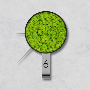 Green Clock, Moss Clock, Handmade Clock, Wall clock, Decorative Clock, Preserved Reindeer Moss