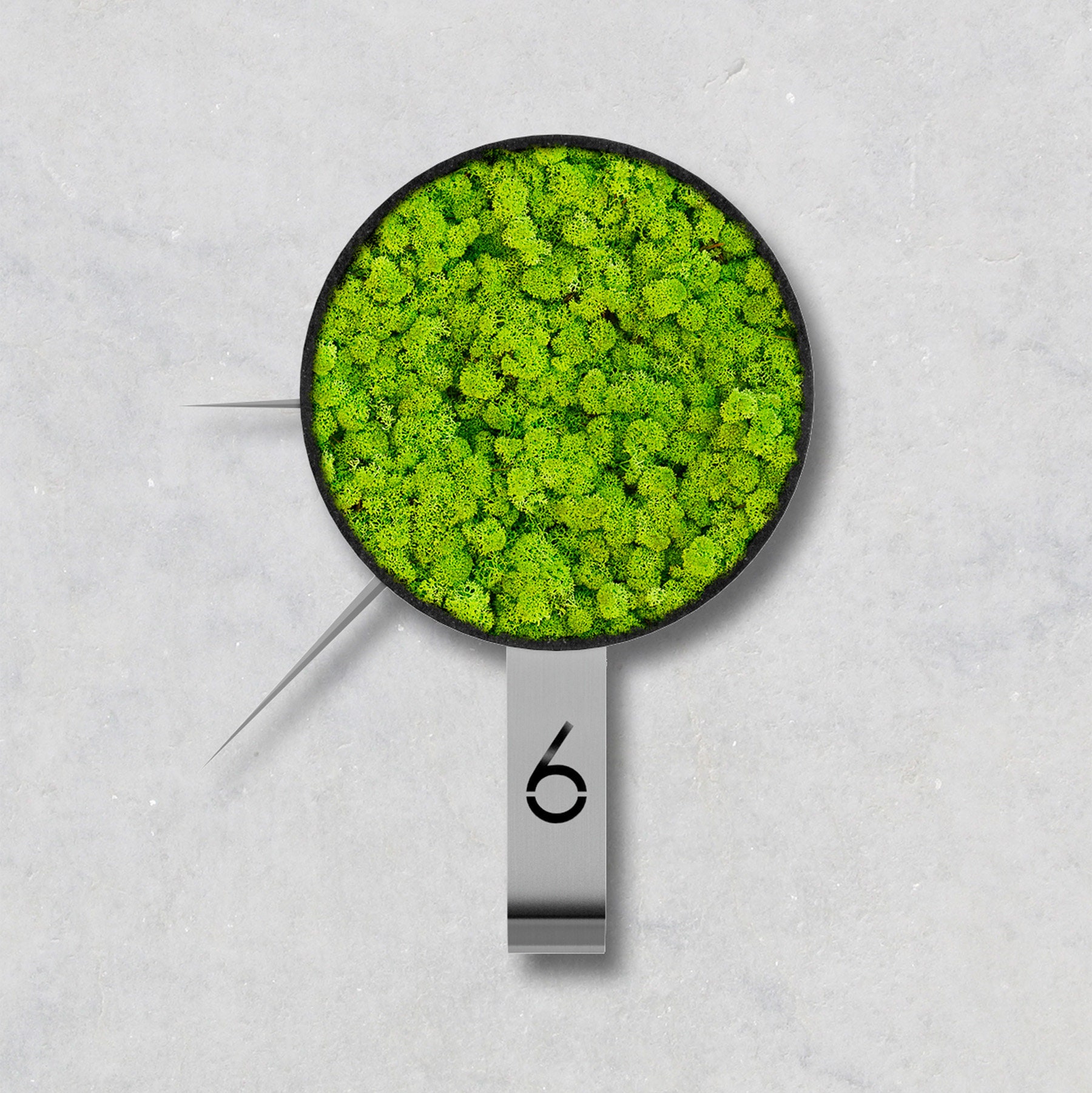 Horloge Verte, Mousse Horloge, Horloge à La Main, Murale, Décorative, Conservé Rennes Mousse