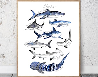 Shark Art Print Etsy