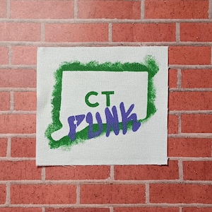 May include: A square, off-white fabric patch featuring a green outline of the state of Connecticut. The text "CT FUNK" is printed in green and purple. The patch is displayed against a red brick wall.