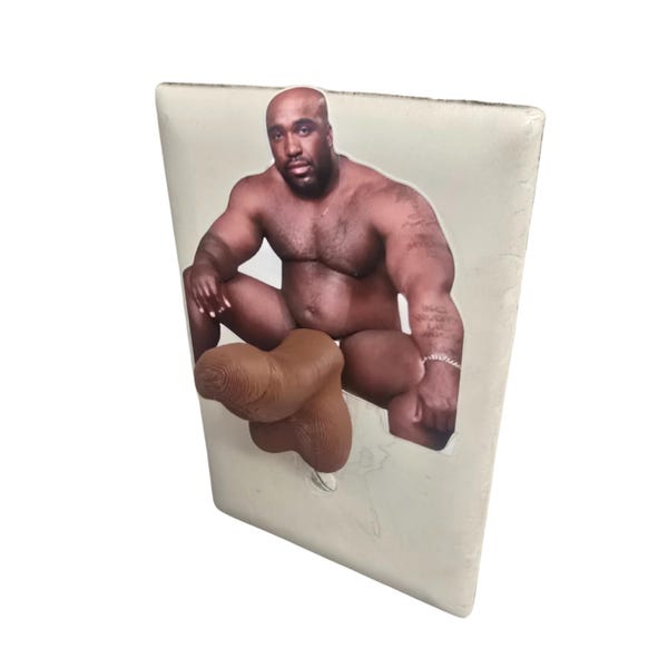4-Pack Novelty Gag Gift - Penis Cap Covers For Standard Light Switches 9 thumbnail image