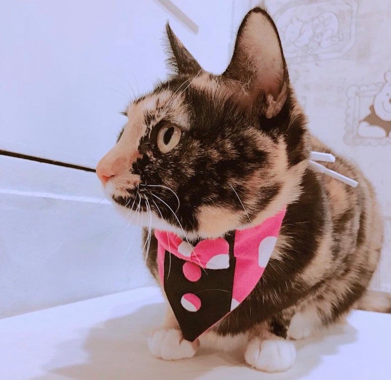 Mickey&minnie mouse bandana Disney bandana for pet bandana Etsy