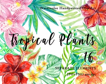 Watercolor Tropical ClipArt Flowers for Summer Design Invitation Jungle Leaves Clipart palm tree leaves clipart Summer Vacation Hawaii Art